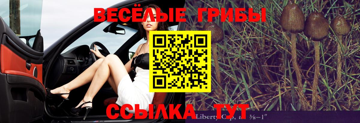 Норильск  Галлюциногенные грибы Psilocybine cubensis  Вход с VPN 
